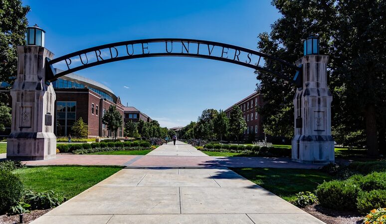 university